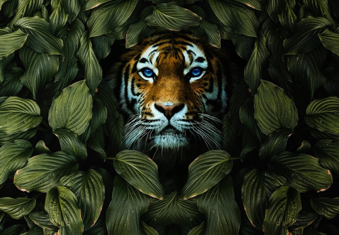 Sich selbst sehen wie ein Angreifer